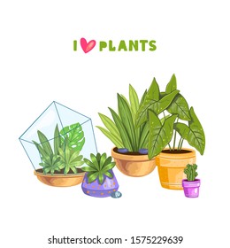 Vector stock illustration with home potted plants. Cute succulents in florarium and tropical leaves in colorful pots with quote “I Love Plants”. Isolated on white.