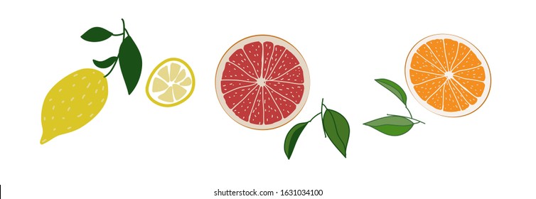 Vector stock illustration of lemon, grapefruit and orange with fresh green leaves. Set for print, postcard. Children art.