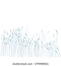 Vector stock illustration of meadow grasses. Pattern of wild flowers. Ears of corn close-up for the landscape. Border of dry branches. Isolated on a white background.