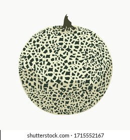 Vector stock illustration of melon. Ripe Cantaloupes with seeds. Juicy sugar orange nutmeg melon southerner. Dessert, sweet fruit.  isolated on white background