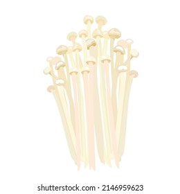 Vector stock illustration of natural raw white mushrooms Enoki with hats on legs. For cooking tempura, chikuwa, tempura udon noodles. Asian cuisine, Korean Chinese Japanese  Golden needle mushroom.  