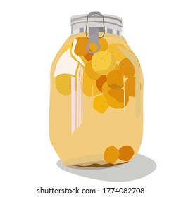 Vector stock illustration of plum wine. Jar of peach compote. Alcohol. Green plum. Japanese fruits liquor. Homemade canned apricots. Home sunsets. UMESHU. Isolated on a white background.