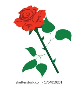 Vector stock illustration; red rose with a white background designed for postcards, holidays, funeral ceremonies.
