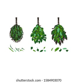 Vector stock illustration set of fir, birch, oak bath brooms. Bathhouse inventory, device. Branches for cosmetology procedure. Medicine and healthy life, happy mood. Hot temperature, spa, beauty.