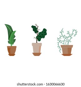 Vector stock illustration, set of three clay pots with fresh plants and herbs. Flat style 