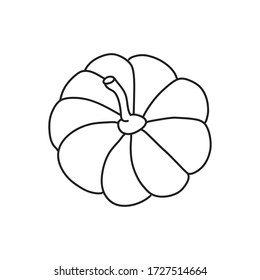 Vector stock illustration with single object: food, hand drawn, doodle style. Sample element isolated on white. Line contour, outline.