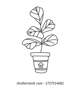 Vector stock illustration with single object: , home plant, hand drawn, doodle style. Sample element isolated on white. Line contour, outline.