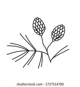 Vector stock illustration with single object: plant, hand drawn, doodle style. Sample element isolated on white. Line contour, outline.