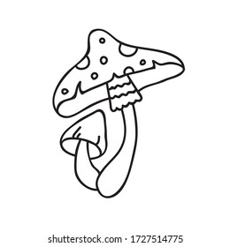 Vector stock illustration with single object: plant, hand drawn, doodle style. Sample element isolated on white. Line contour, outline.