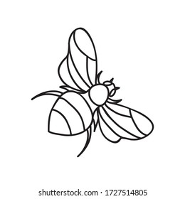 Ilustración de material vectorial con un solo objeto: insectos, dibujados a mano, estilo doodle. Elemento de ejemplo aislado en blanco. contorno de línea, contorno.