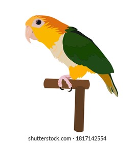 Vector stock illustration of a small bird. Bright green and yellow feathers. Beak. Parrot forest of parrots. Isolated on a white background. Pet. Children's favorite playful character.