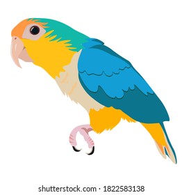 Vector stock illustration of a small bird. Bright green and yellow feathers. Beak. Parrot forest of parrots. Isolated on a white background. Pet. Children's favorite playful character.