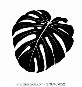 Vector Stock Illustration Of Tropical Leave. Monstera Leave. Watercolor Greenery Plant. Template For Stickers, Stencil. Close-up Of Tropical Leaves Isolated On A White Background.  Flat Style. 