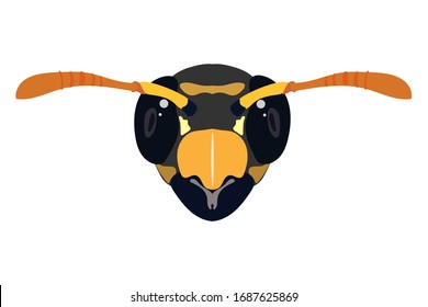 Vector stock illustration wasp head icon from front isolated on white background. Design for graphic, logo and web purposes.