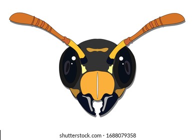 Vector stock illustration wasp head icon from front isolated on white background. Design for graphic, logo and web purposes.