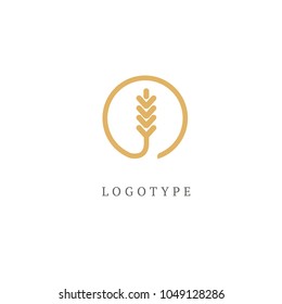Vector stock logo, abstract nature sign.  Illustration design of elegant, premium and royal logotype leaf . Vector icon of gold ear.