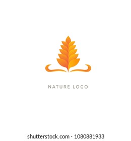 Vector stock logo, abstract nature sign. Illustration design of elegant, premium and royal logotype leaf . Vector icon of gold ear.