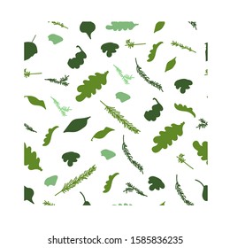 Vector stock seamless pattern illustranion. Oak, fir and birch leaves, medicine design, botanic herbal art.