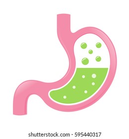 Vector stock of stomach icon with green acid fluid and bubbles