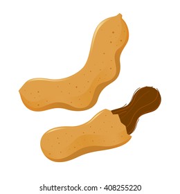 Vector stock of tamarind fruit whole and peeled