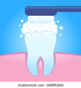 Vector stock of tooth brush cleaning a shiny healthy tooth