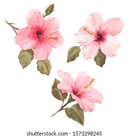 Vector stock tropical illustration, Pink hibiscus flower on a white background. Watercolor style