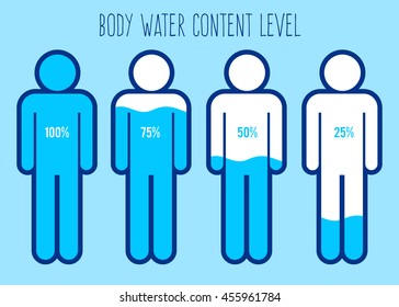Vector stock of water content charts percentage in human body