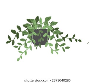 Plantas de plantas de plantas de plantas de plantas de plantas de plantas de vectores