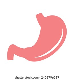 Vector stomach isolated on white background.