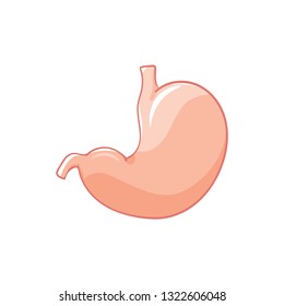 Vector stomach on white background. Doodle human organ. 