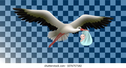 Vector. The stork carries the baby. Photo of newborn baby, born baby. Little baby in diapers, a Stork with delivery children. 3D, isolated realistic illustration