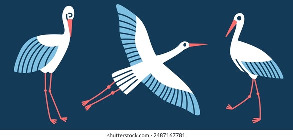 Vector storks isolated on a dark background. Illustration with birds