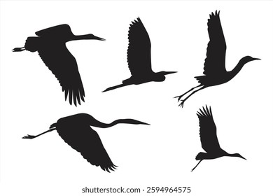 Vector storks. Silhouette of a flock of storks flying. Wildlife illustration