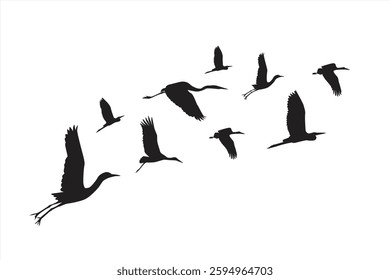 Vector storks. Silhouette of a flock of storks flying. Wildlife illustration