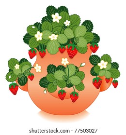 vector - Strawberries in Clay Strawberry Jar. Spring garden of juicy strawberries growing from the top and hanging from the sides of terracotta pot. EPS8 organized in groups for easy editing.