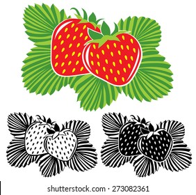 Vector strawberries in color and black and white