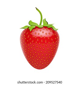 Vector strawberries - isolated  on white background