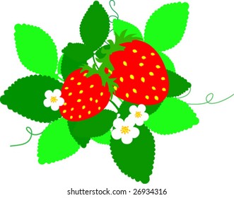 vector strawberries with sheets isolated on white
