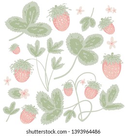 vector strawberry berries with leaves and flowers