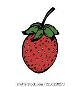 Vector strawberry clipart. Hand drawn berry icon. Fruit illustration. For print, web, design, decor