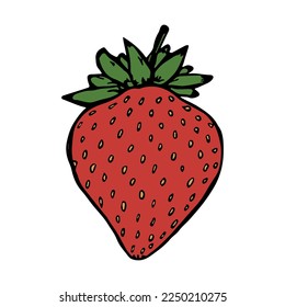 Vector strawberry clipart. Hand drawn berry icon. Fruit illustration. For print, web, design, decor