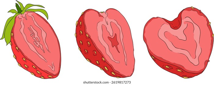 Vector strawberry colored illustrations set, hand drawn botanical. Summer fruit Isolated design elements.	