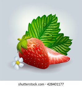 Vector strawberry with flowers and leaves