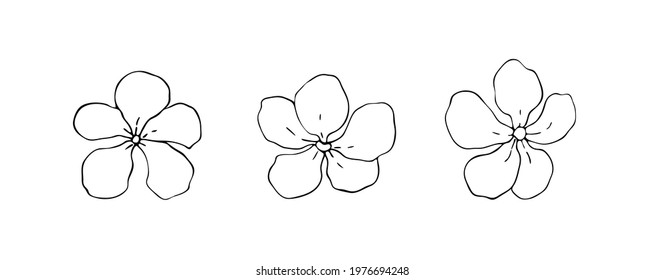 Vector strawberry flowers. Vector on a white background.