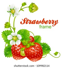 Vector strawberry frame. Red berry and white flower isolated on background