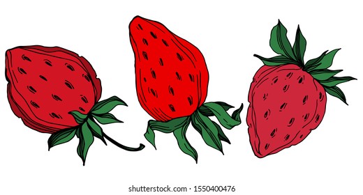 Vector strawberry fresh berry healthy food. Black and white engraved ink art. Isolated strawberry illustration element on white background.