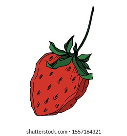 Vector strawberry fresh berry healthy food. Black and white engraved ink art. Isolated strawberry illustration element on white background.