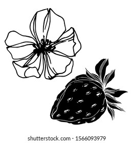 Vector strawberry fresh berry healthy food. Black and white engraved ink art. Isolated strawberry illustration element on white background.