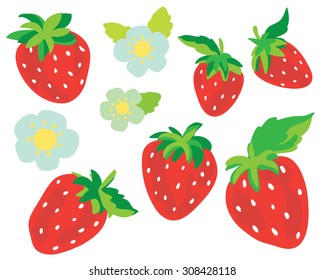 Vector Strawberry Fruit and Flowers