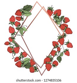 Vector Strawberry fruits. Green leaf. Leaf plant botanical garden floral foliage. Red and green engraved ink art. Frame border ornament square.